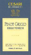 Due Torri - Pinot Grigio Friuli 2019 (1.5L) (1.5L)