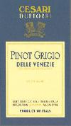 Due Torri - Pinot Grigio Friuli 2019 (1.5L)